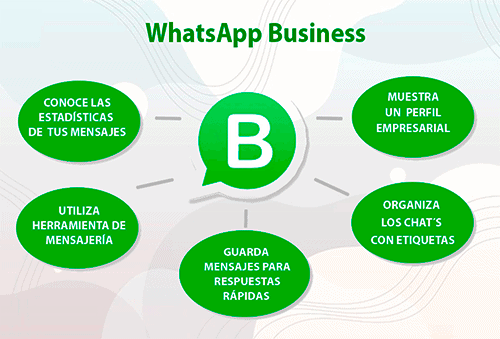 ¿Has escuchado hablar de la Aplicación WhatsApp para Negocios?